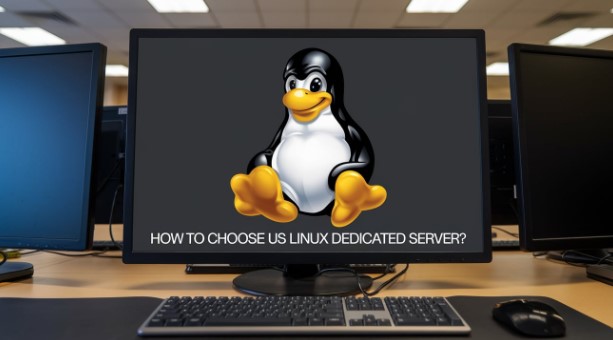 如何選擇美國Linux專用伺服器? 如何選擇美國Linux專用伺服器?