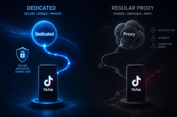TikTok 獨享節點與代理 IP 差異示意圖 TikTok 獨享節點與代理 IP 差異示意圖